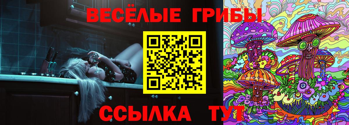 Галлюциногенные грибы GOLDEN TEACHER  Вход с VPN  Лесосибирск 